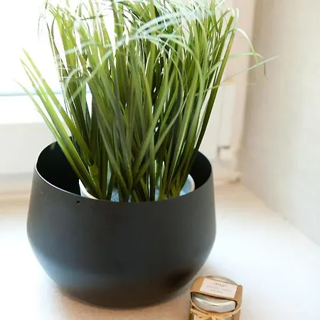 Mila Appartamento Zara